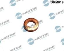 Lizarte, S.A. DRM019