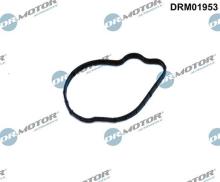 Lizarte, S.A. DRM01953