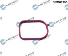 Lizarte, S.A. DRM01955