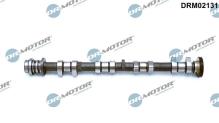 Lizarte, S.A. DRM02131