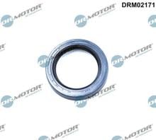 Lizarte, S.A. DRM02171