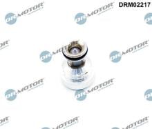 Lizarte, S.A. DRM02217