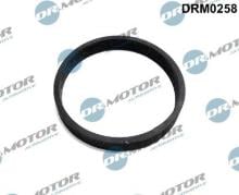 Lizarte, S.A. DRM0258