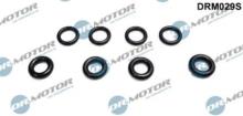 Lizarte, S.A. DRM029S