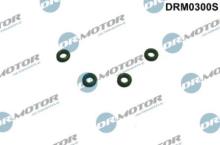 Lizarte, S.A. DRM0300S