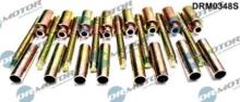 Lizarte, S.A. DRM0348S