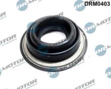 Lizarte, S.A. DRM0403