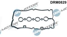 Lizarte, S.A. DRM0829