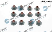 Lizarte, S.A. DRM0892S