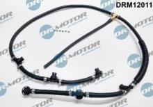 Lizarte, S.A. DRM12011