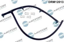 Lizarte, S.A. DRM12013