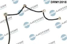 Lizarte, S.A. DRM12018
