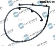 Lizarte, S.A. DRM12019