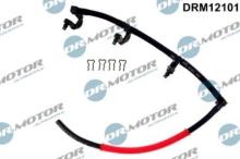 Lizarte, S.A. DRM12101