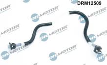 Lizarte, S.A. DRM12509