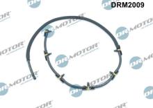 Lizarte, S.A. DRM2009