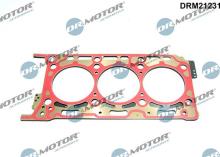 Lizarte, S.A. DRM21231
