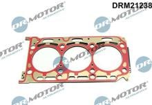 Lizarte, S.A. DRM21238