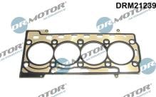 Lizarte, S.A. DRM21239