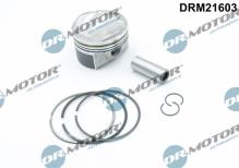 Lizarte, S.A. DRM21603