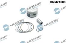Lizarte, S.A. DRM21608