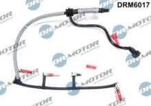 Lizarte, S.A. DRM6017
