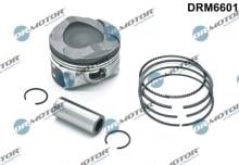 Lizarte, S.A. DRM6601