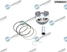 Lizarte, S.A. DRM6603