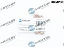 Lizarte, S.A. DRMP30
