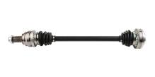 Lizarte, S.A. DS0111