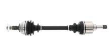 Lizarte, S.A. DS0230