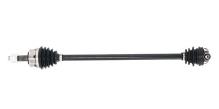 Lizarte, S.A. DS1495