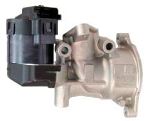 Lizarte, S.A. EGR004