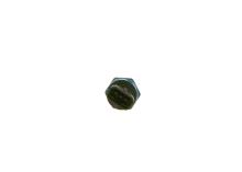 BOSCH 0 281 006 188
