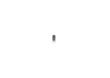 BOSCH 7 781 700 032