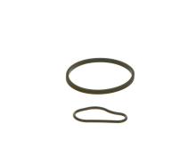 BOSCH F 009 D00 783