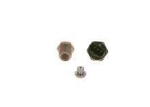 BOSCH F 00R 004 556
