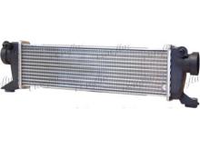 Frig Air S.p.A. 0706.3003