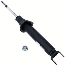 SACHS 313 795