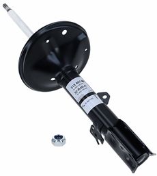 SACHS 313 807
