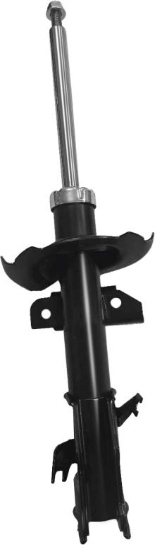 SACHS 316 895