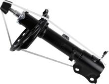 SACHS 317 156