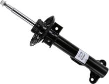 SACHS 317 556
