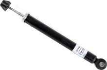 SACHS 317 641
