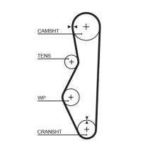 GATES 5521XS