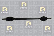 DA SILVA S.A.S. 31436T