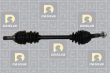 DA SILVA S.A.S. 31455T