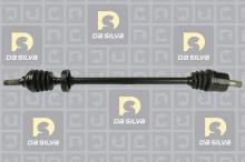 DA SILVA S.A.S. 93171T
