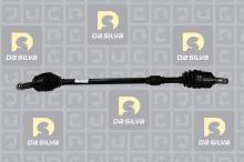 DA SILVA S.A.S. 95107T