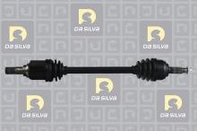 DA SILVA S.A.S. 96077T